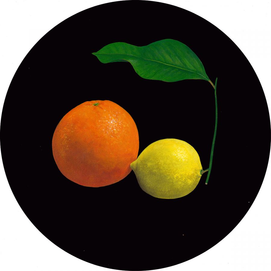 Naranja y Limón Glass Trivet