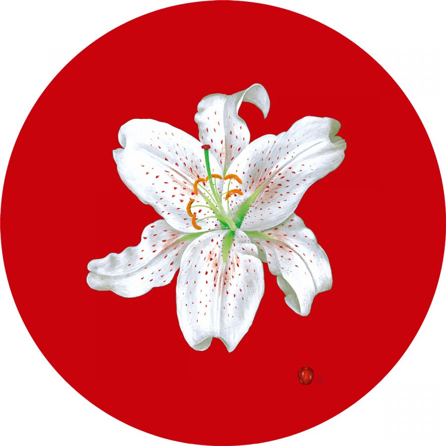 White Lily on Red Glass Trivet